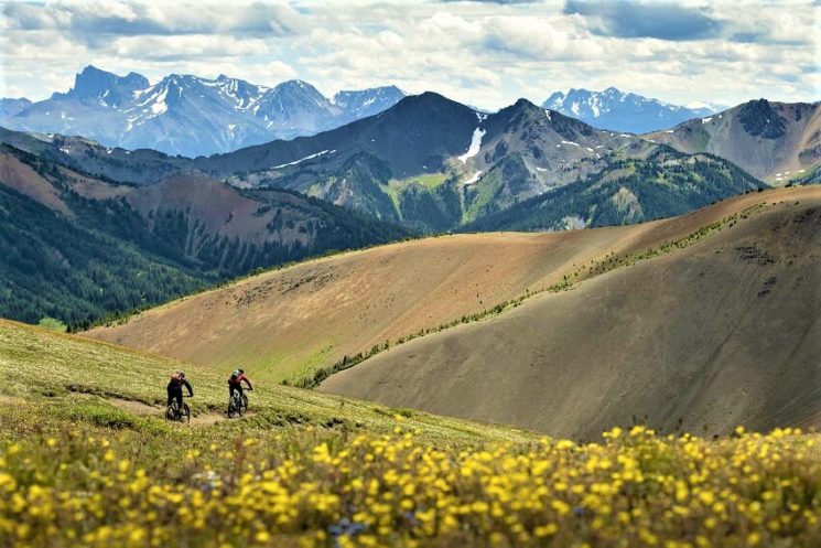 Una Trek per le vacanze