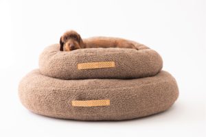 cuscino Fulvio