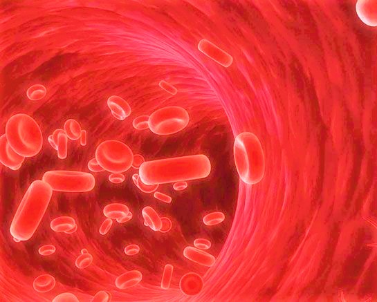 Covid-19 e il paziente con neoplasie ematologiche