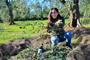 Azienda Agricola Cuonzo olio extravergine di oliva