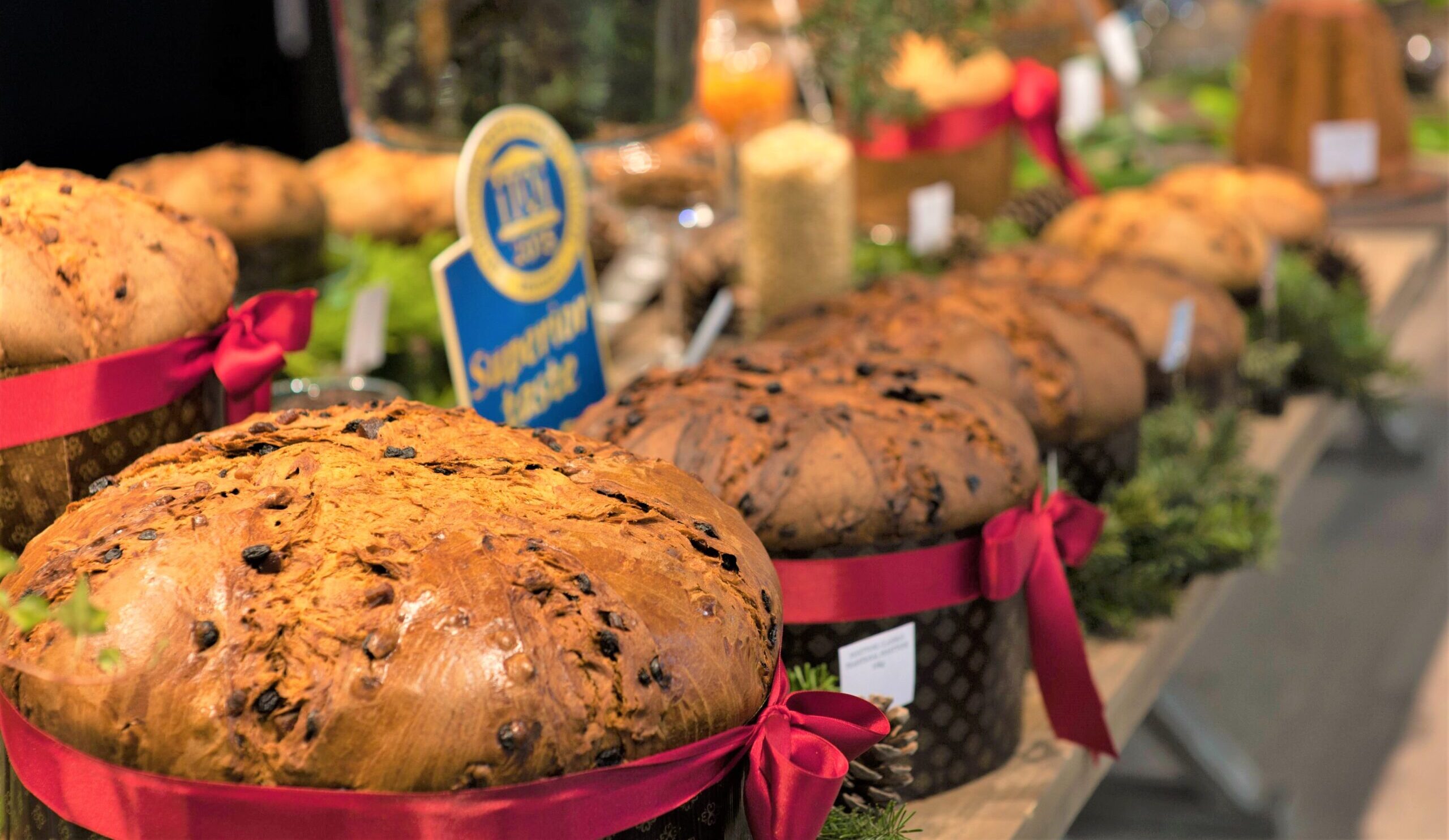 i panettoni Giovanni Cova & C. Accademia di Brera