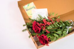 Per Natale i FlowerBox di Blooming Milano