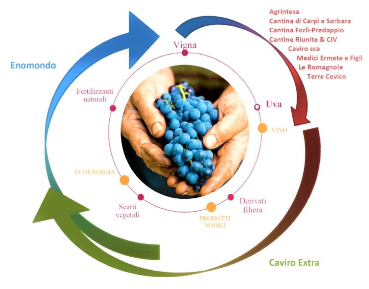 Nasce “Legàmi di Vite”, un importante contratto di sviluppo “green” nel comparto vitivinicolo