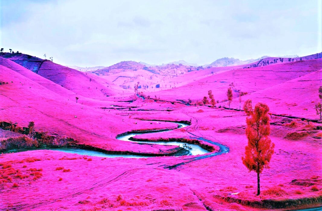 Fondazione MAST Displaced” mostra di Richard Mosse