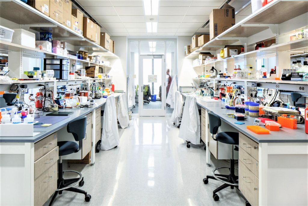 Il collagene “biotech”, la nuova frontiere della medicina estetica