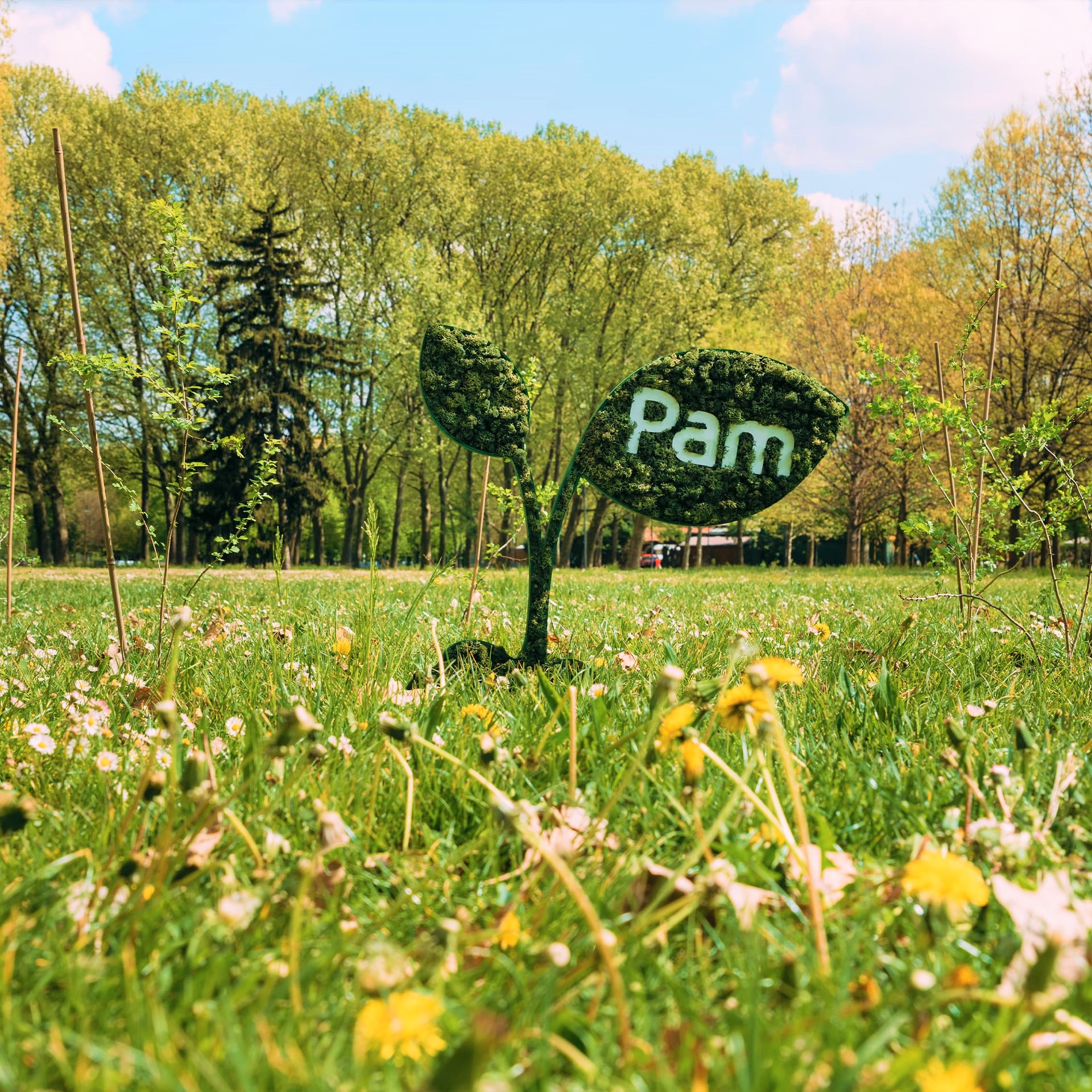 Pam Panorama, la sostenibilità risorsa per il futuro