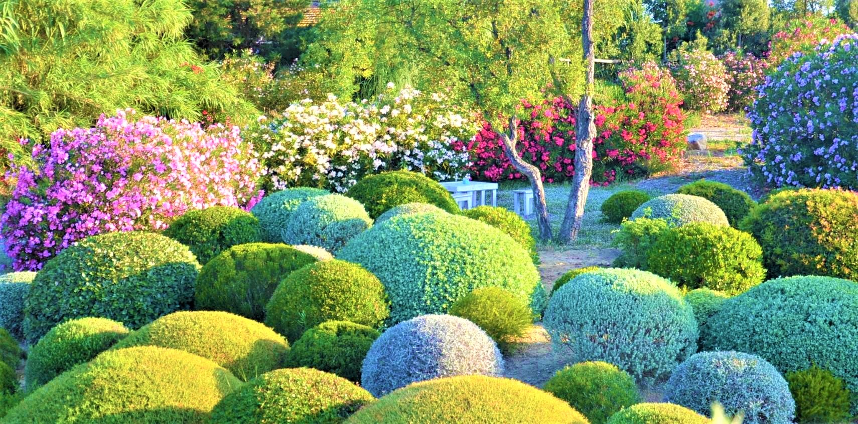 Mentore, Lucumone e Oblò di Fattoria Mantellassi al Botanical Dry Garden di Orbetello