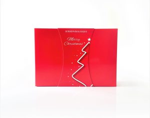 Christmas Box Dermophisiologique