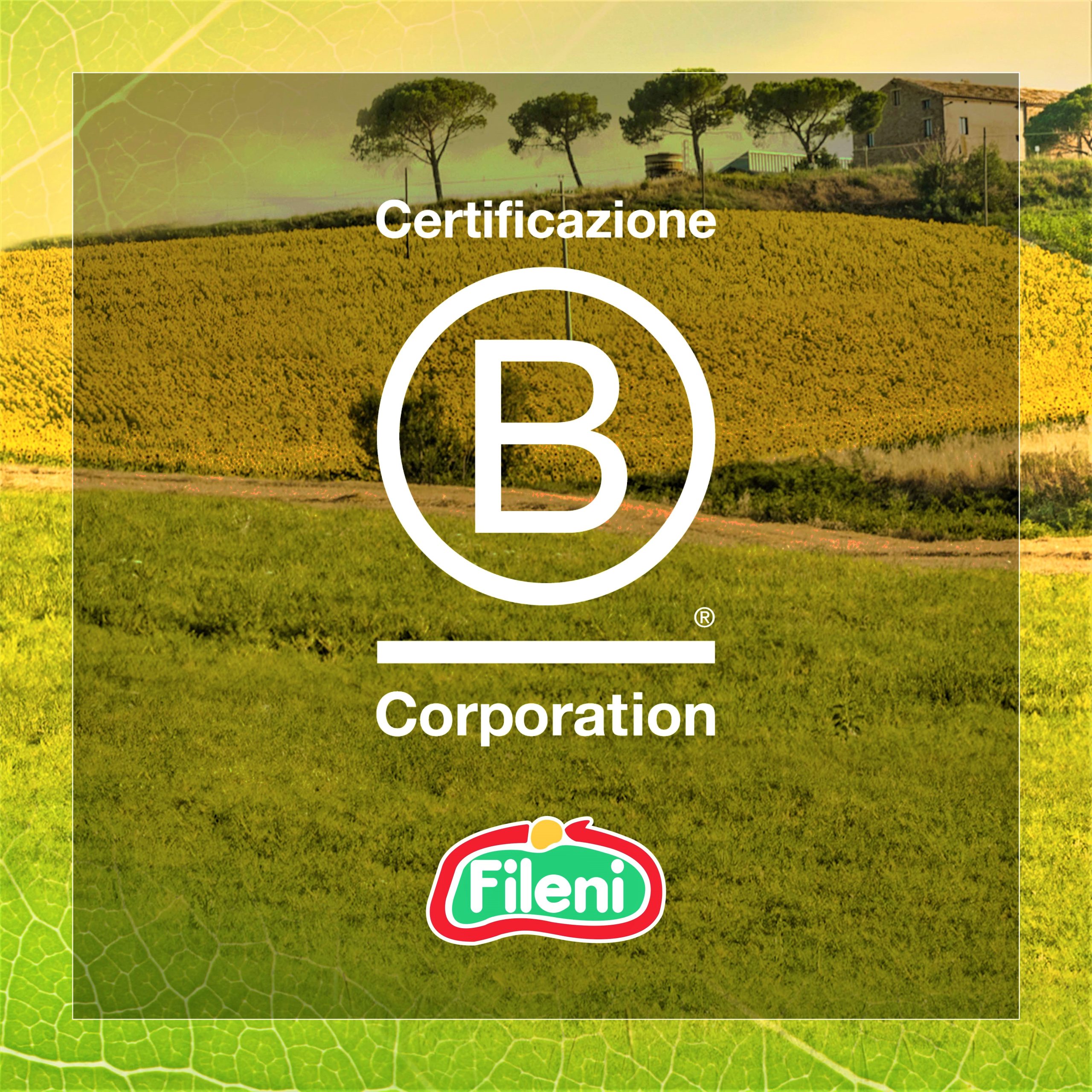 Fileni certificazione B Corp