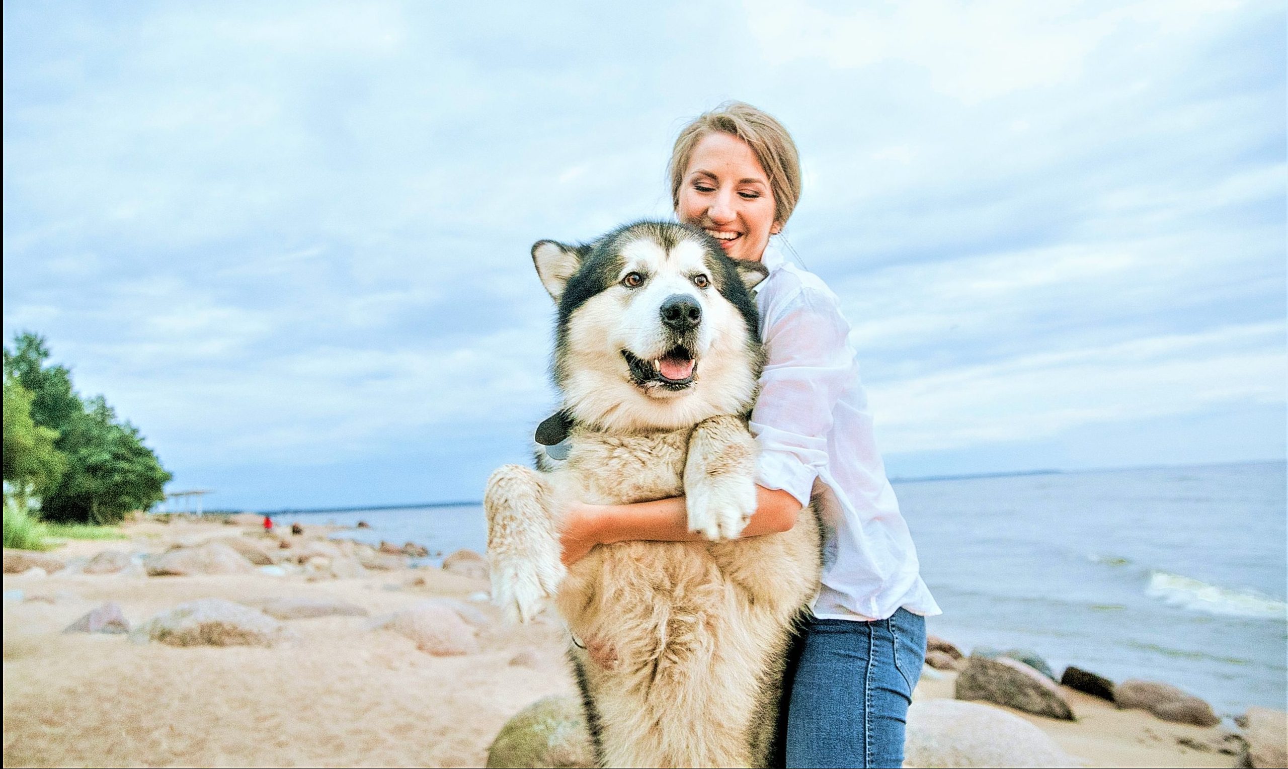 ElsaBeauty Dermocosmesis for Pets