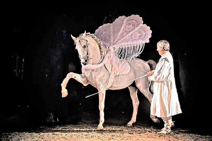 Il Regno del Cavallo, un grande show equestre a Milano fino al 29 maggio