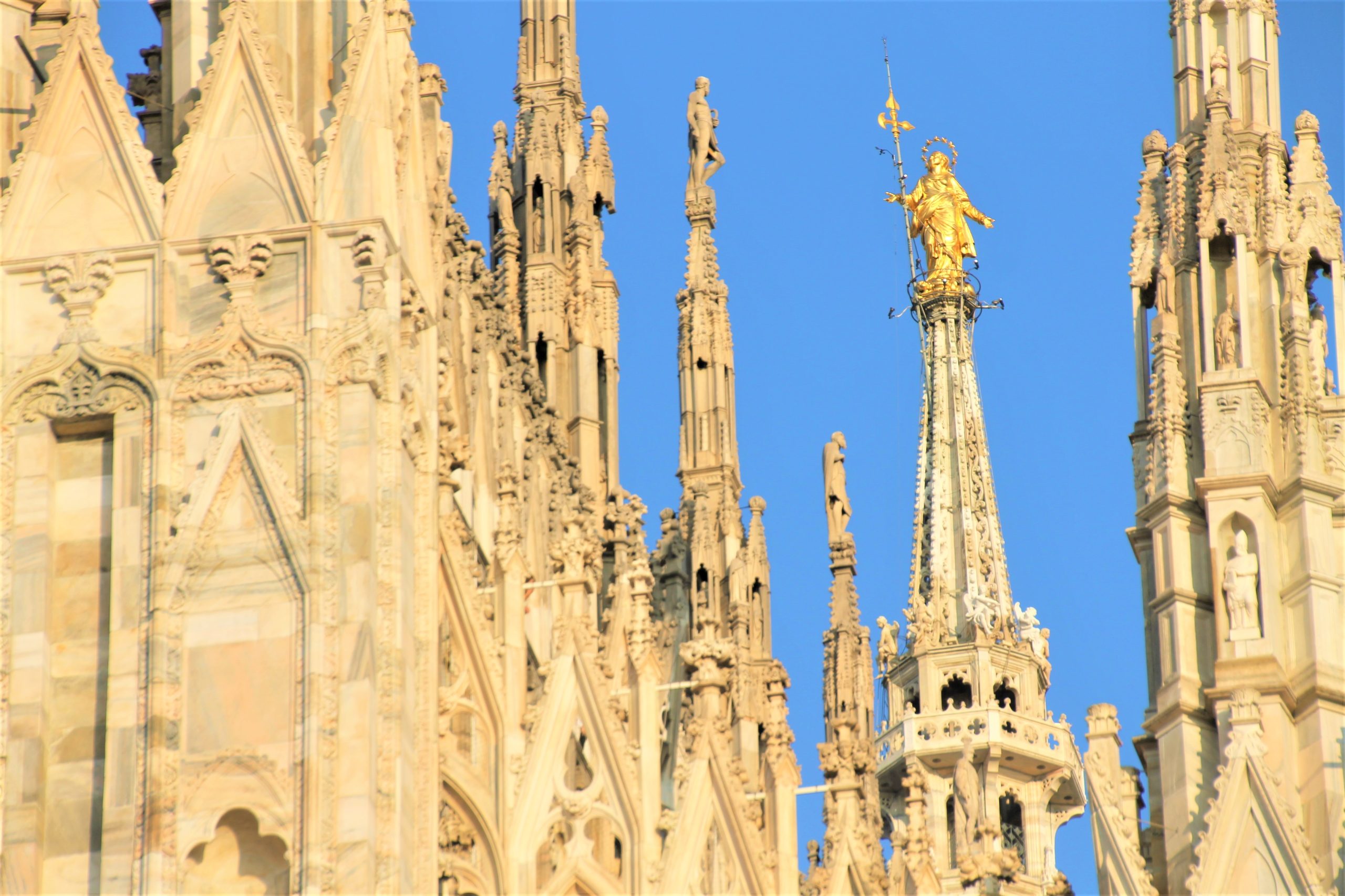 visite guidate del Duomo di Milano