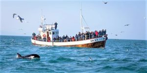 Con Play alla scoperta dell’Islanda