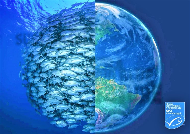 Giornata Mondiale degli Oceani con MSC Pesca Sostenibile > 8 giugno 2022