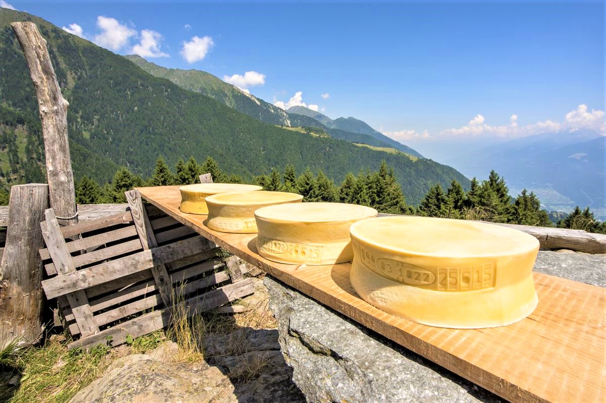 Formaggi DOP Bitto e Valtellina Casera