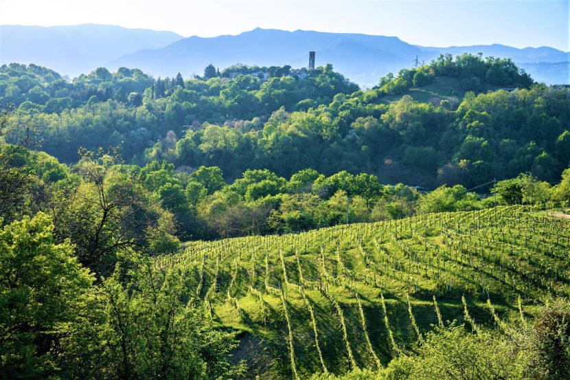 Asolo Prosecco e il genio di Antonio Canova