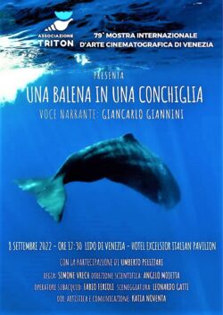 Venezia 79: cortometraggio “Una Balena in una conchiglia”, 8 settembre ore 17.30 Hotel Excelsior