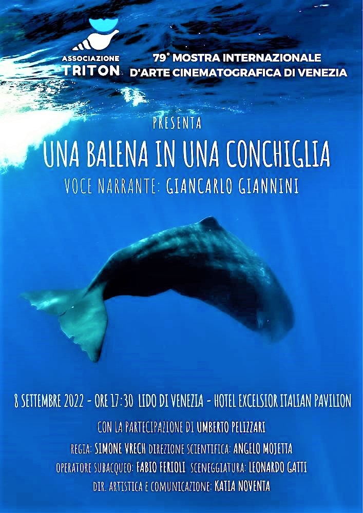 Venezia 79: cortometraggio “Una Balena in una conchiglia”, 8 settembre ore 17.30 Hotel Excelsior