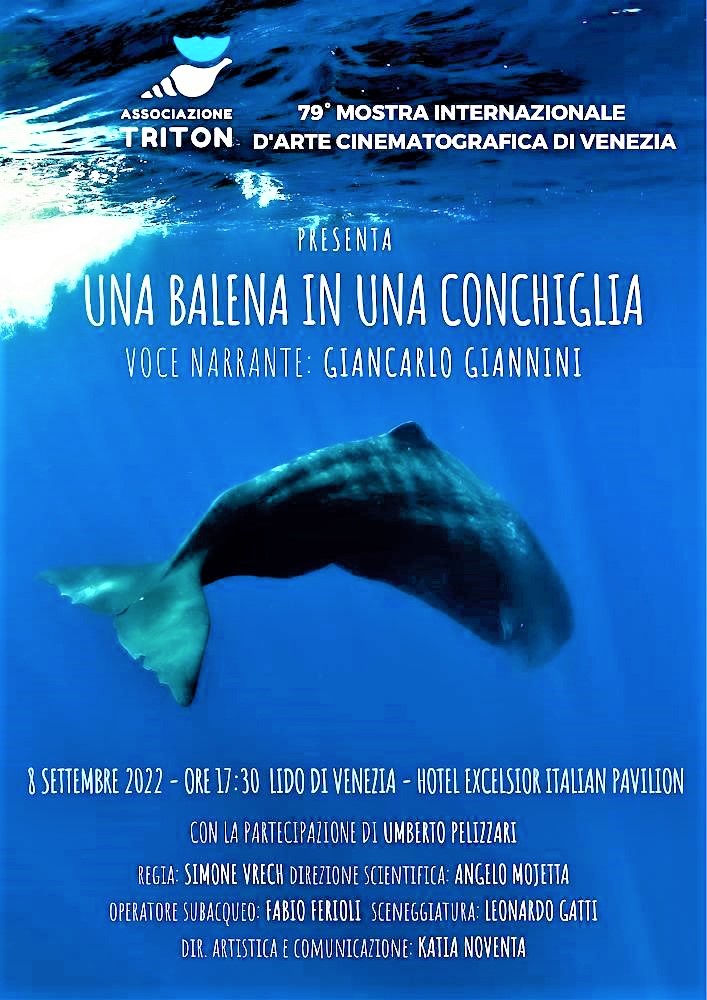 Venezia 79: cortometraggio “Una Balena in una conchiglia”