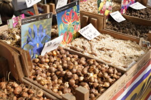 Flora et Decora a Citylife Milano dal 14 al 16 ottobre 2022
