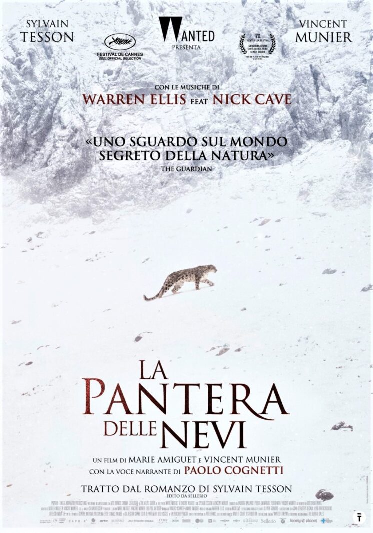 La Pantera delle Nevi, il film filosofico girato nel Tibet che arriva dritto al cuore