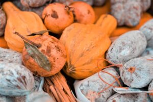 Ferrara Food Festival: al via l’edizione numero 2