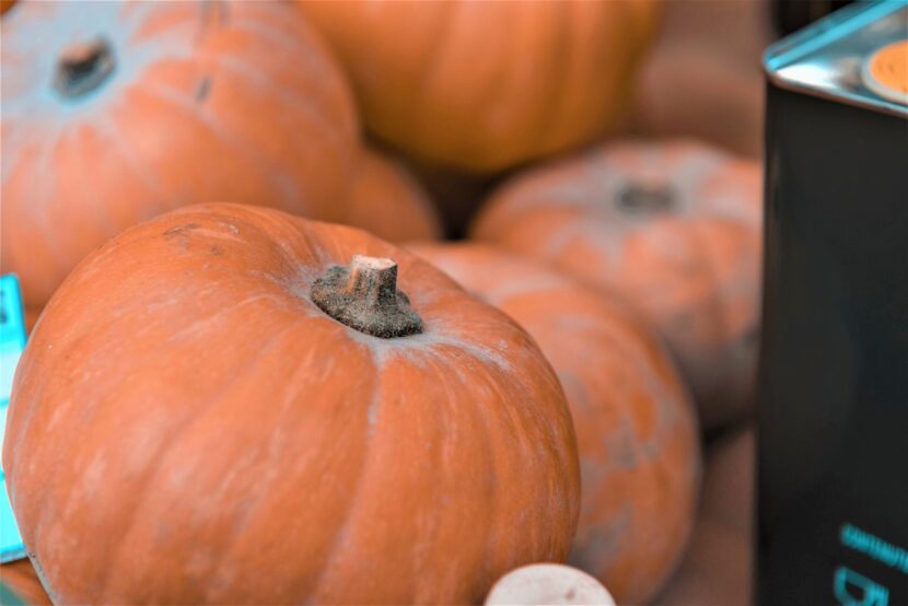 La zucca, grande protagonista del Ferrara Food Festival dal 4 al 6 novembre