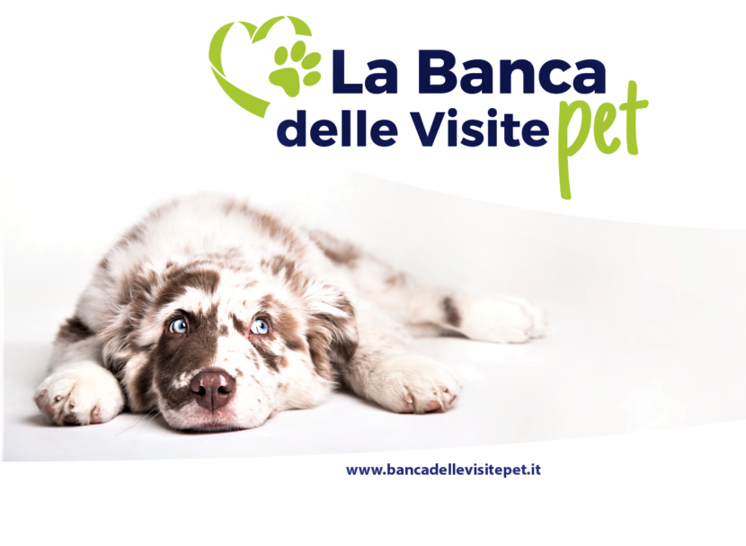 Banca delle Visite Onlus e Audens