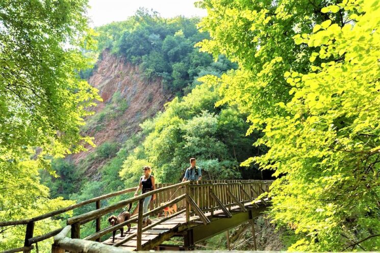 Insubriparks, una grande rete di parchi insubrici che fa sognare