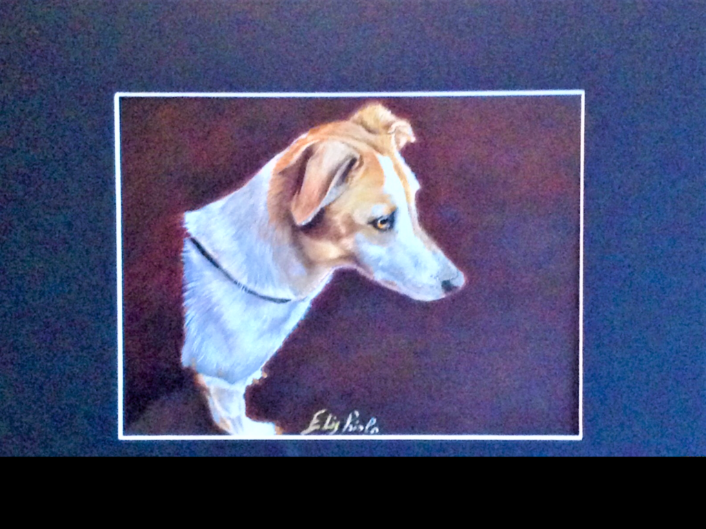 I ritratti di animali di Elis Priolo