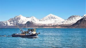 I prodotti ittici dell’Alaska