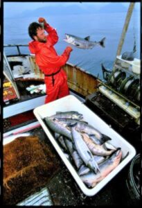 I prodotti ittici dell’Alaska