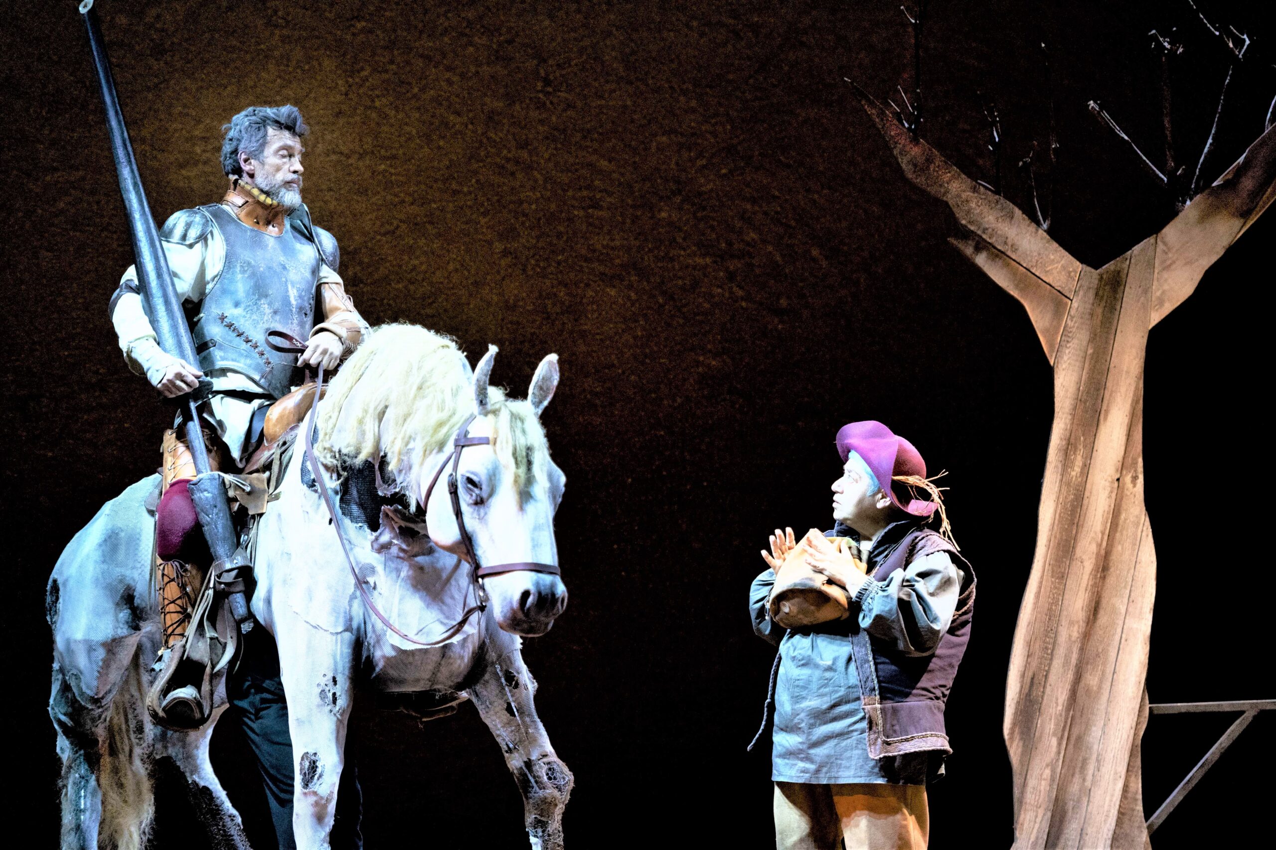 Don Chisciotte