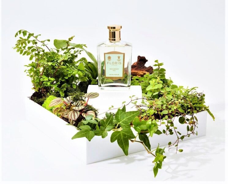 Calé: Mulberry Fig, l’eau de parfum ispirata al verde lussureggiante del St. James Park