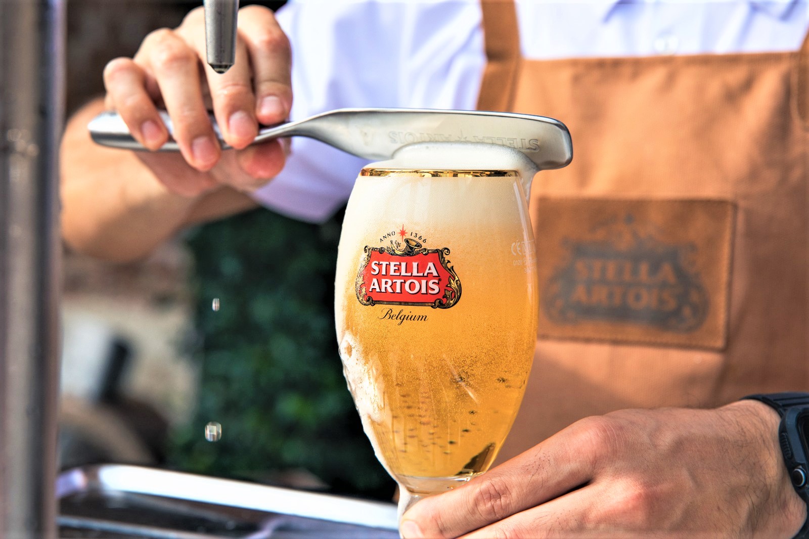 Draught Masters Italia Stella Artois 2023