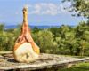 Prosciutto di San Daniele DOP: i dati di mercato del 2022