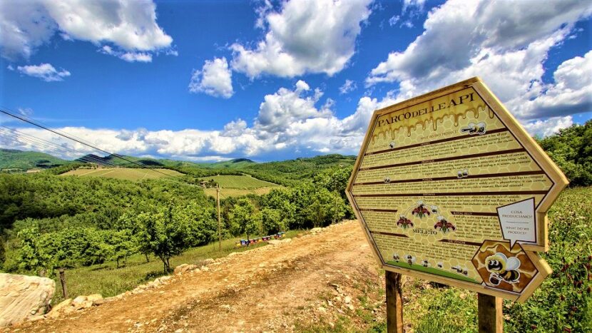 Castello di Meleto in occasione della Giornata Internazionale delle Api