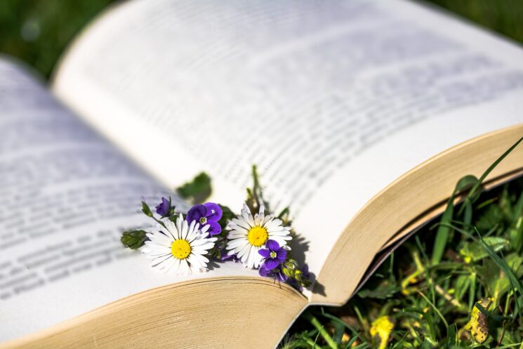 5 giugno Giornata Mondiale dell’Ambiente. Più libri, più green con bookdealer