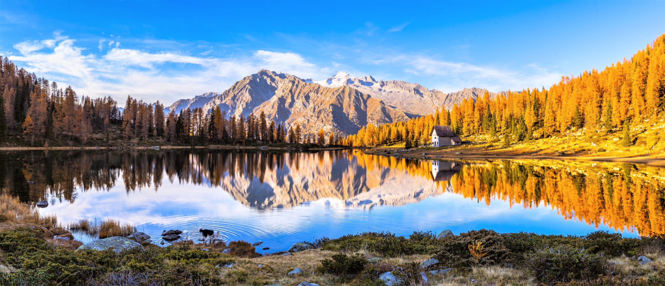 Un autunno d' Altagamma a Madonna di Campiglio: i principali eventi della stagione