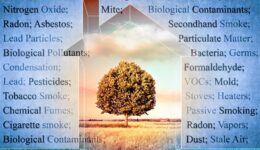 VORTICE Academy - Comfort e qualità dell'aria negli ambienti indoor