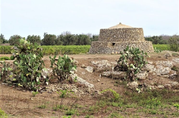 Turismo archeologico: successo delle Città Messapiche del Salento alla BMTA