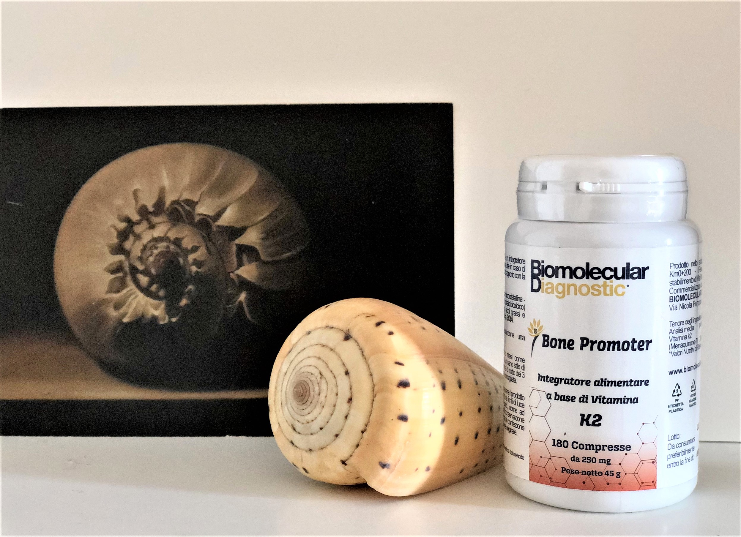 BONE PROMOTER K2 by Biomolecular Diagnostic Firenze, l’integratore che ci protegge come una conchiglia