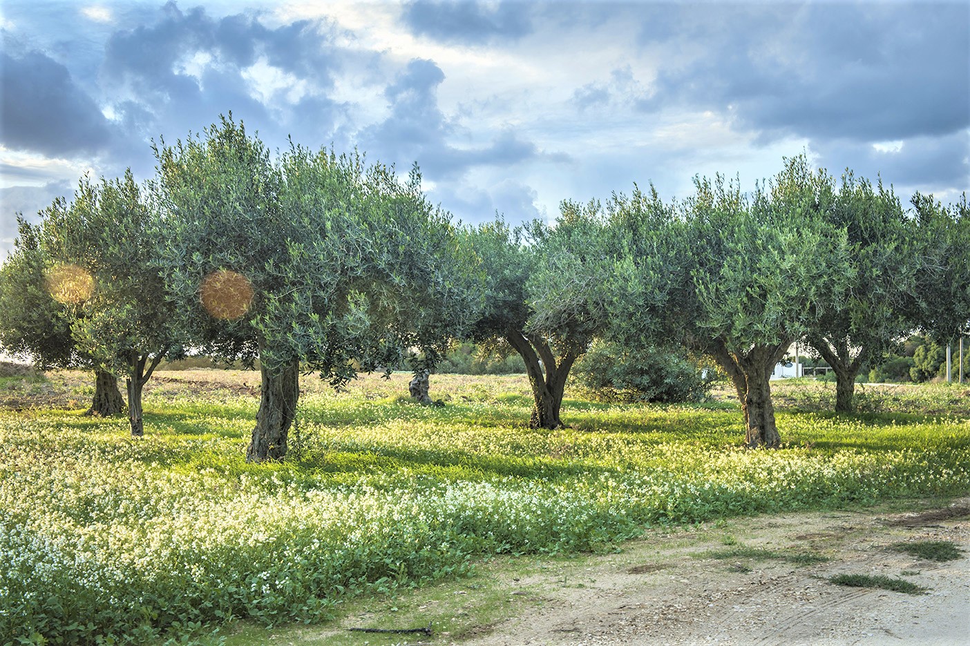 Trapani Città Creativa per la Gastronomia UNESCO