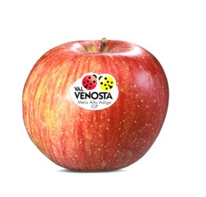 Fuji Val Venosta