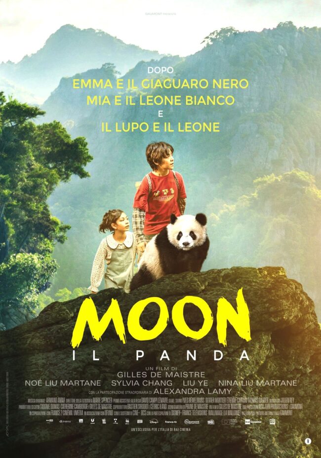 Moon il panda